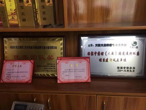 彝良農(nóng)副產(chǎn)品加工廠 走綠色發(fā)展道路 培育優(yōu)質(zhì)天麻品牌