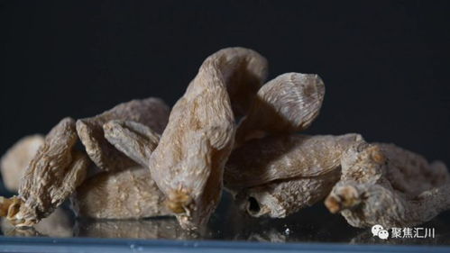 匯川 婁山天麻 亮相阿聯酋迪拜