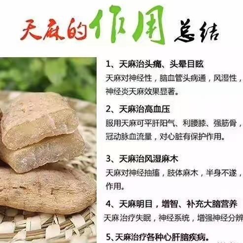 特產(chǎn)新貨云南昭通天麻紅天麻產(chǎn)地直銷批發(fā)價包郵促銷
