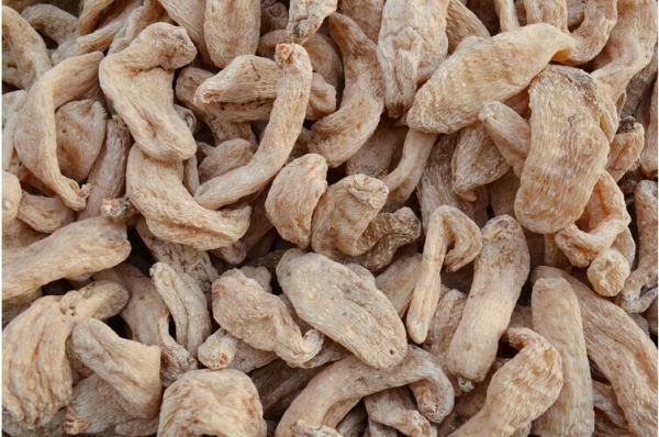 如何看天麻好壞