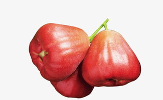 霧蓮圖片素材圖片免費下載 高清產(chǎn)品實物png 千庫網(wǎng) 圖片編號5243482